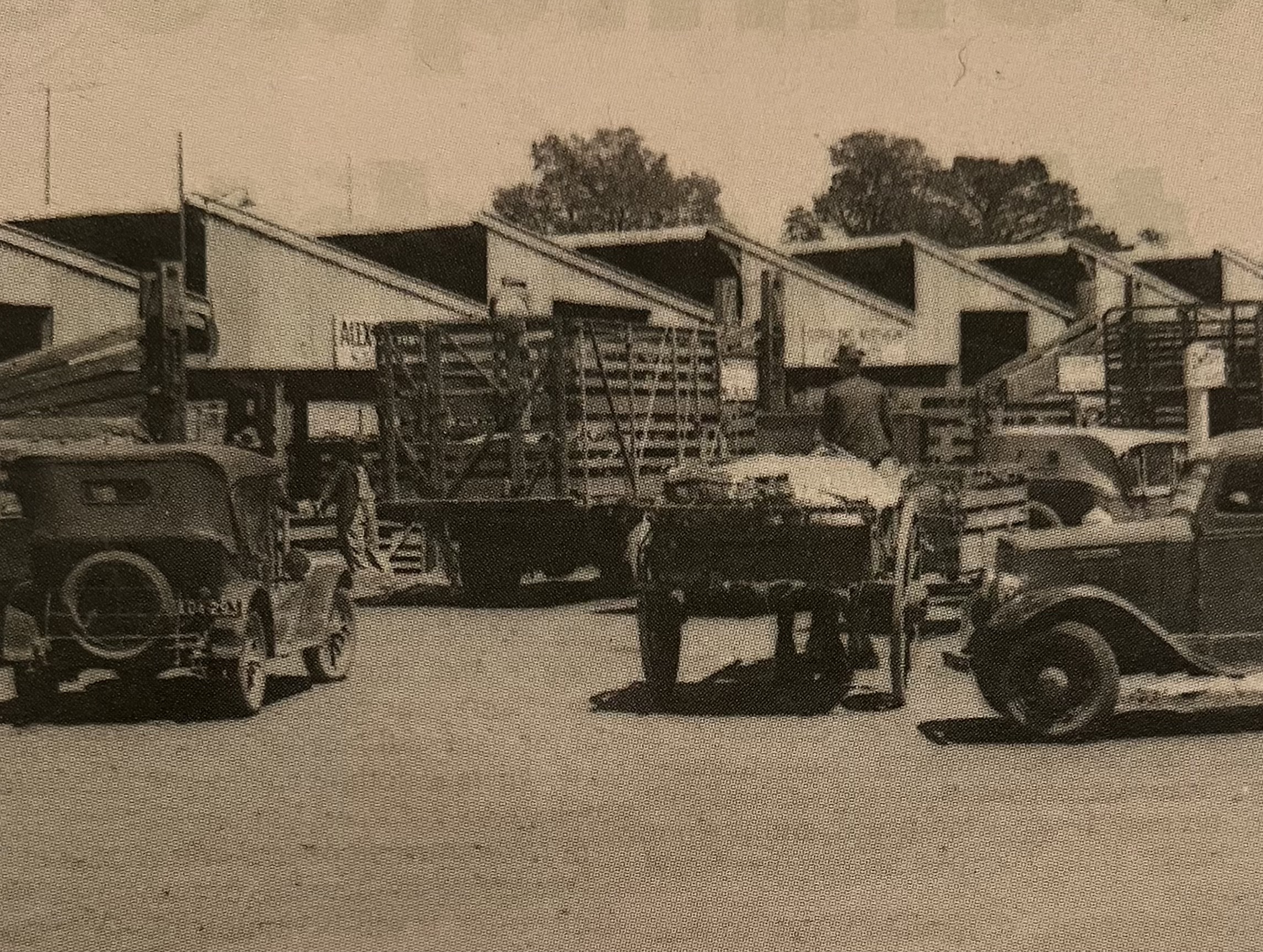 Warragul Saleyards